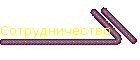 Сотрудничество
