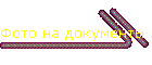 Фото на документы